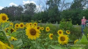 ⛱️На машине к морю/ День 1