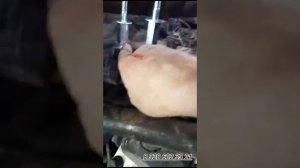 Установка независимой подвески . КАМАЗ 6520