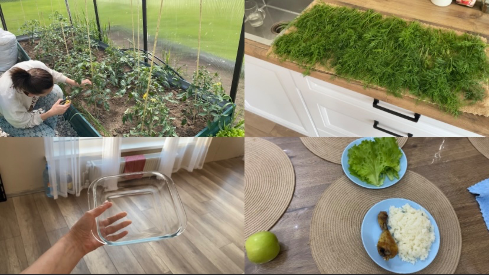 РАБОТА В ТЕПЛИЦЕ// СРЕЗАЛА УКРОП// НОВАЯ ФОРМА ДЛЯ ЗАПЕКАНИЯ// ПП УЖИН смотреть онлайн