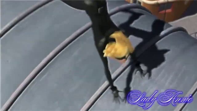 Супер кот || сломаны крылья || Stigmata смотреть онлайн