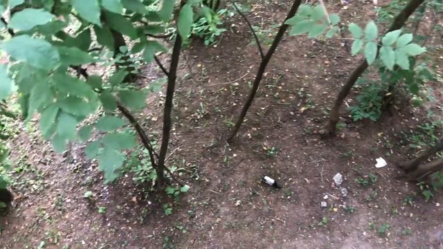 Метрогородок, грязь, Управа и жилищник бездействуют! 18.08.23