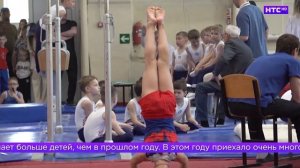 Традиционные соревнования по спортивной гимнастике «Ирбитская весна»