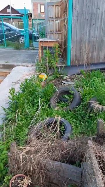 Дом в г. Горно-Алтайск смотреть онлайн