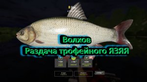 Русская рыбалка 4-Волхов-раздача ТРОФЕЙНОГО ЯЗЯ 21.05.2025г