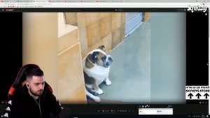 😂 HARD PLAY СМОТРИТ ТЕСТ НА ПСИХИКУ  Приколы за неделю #64   Потрачено   Попробуй не засмеяться 1