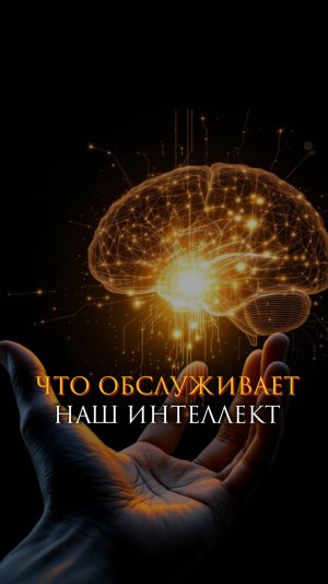 Что обслуживает наш интеллект
