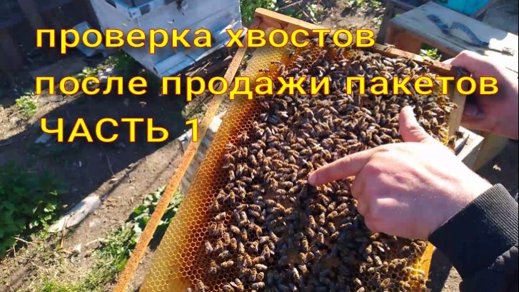 проверка хвостов после продажи пакетов через 12 дней