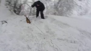 Лебедка лягушка 2