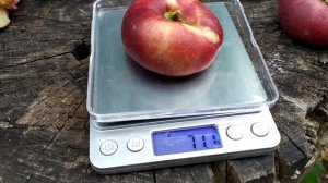 инжирный нектарин донат