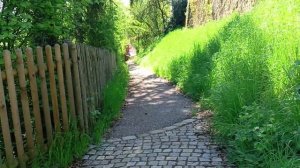 Сайбель Катя.  Обзор влогов.  04 05 2025 Сайбель