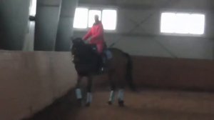 Траверс на лошади