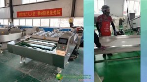 Вакууматор для продуктов Vega VPM 200 ленточный