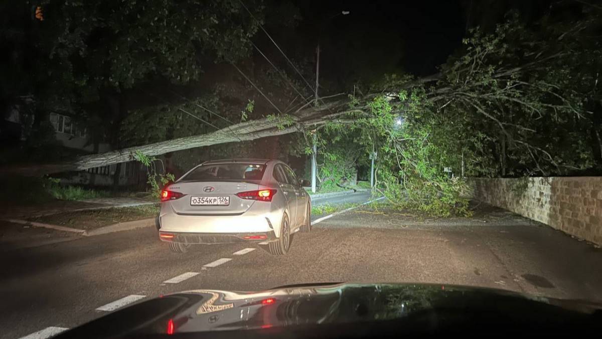 Ночью в центре Ставрополя упало дерево