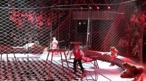 "НЕ БОЛЬШЕ, ЧЕМ ТАНГО" АРТУР И КАРИНА БАГДАСАРОВЫ С ТИГРАМИ, ШОУ " БАГДАСАРОВЫ. ПРО ЦИРК ", КАЗАНЬ