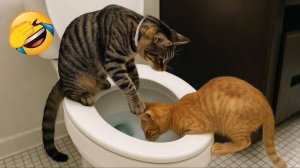 ЛУЧШИЕ СМЕШНЫЕ МОМЕНТЫ С ЖИВОТНЫМИ🐾НЕОЖИДАННЫЕ ПРИКОЛЫ С ЖИВОТНЫМИ ТОП приколов с животными! 2025