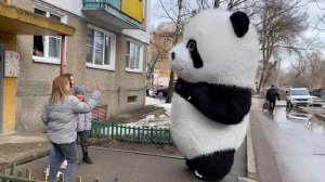 Панда и танцы💃👯 🔥🔥🔥