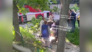 В Одессе мужчина забрался на дерево, пытаясь спастись от военкомов