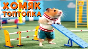 ПЕСНЯ ДЛЯ ДЕТЕЙ ПРО ХОМЯКА. Песенка про домашних питомцев