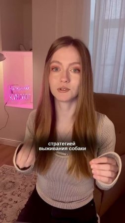 Если ваша собака тусуется на диване #кинолог #собака #суперсобака