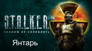 S.T.A.L.K.E.R.: Тень Чернобыля. Прохождение. Янтарь