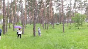 2025_Турнир по диск-гольфу