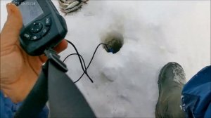 Тест эхолота Rivertech в режиме флешер #fishing #Echolot