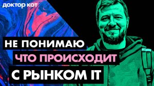 Как не сойти с ума в очередной кризис и сохранить рассудок на безумном рынке — Доктор кот