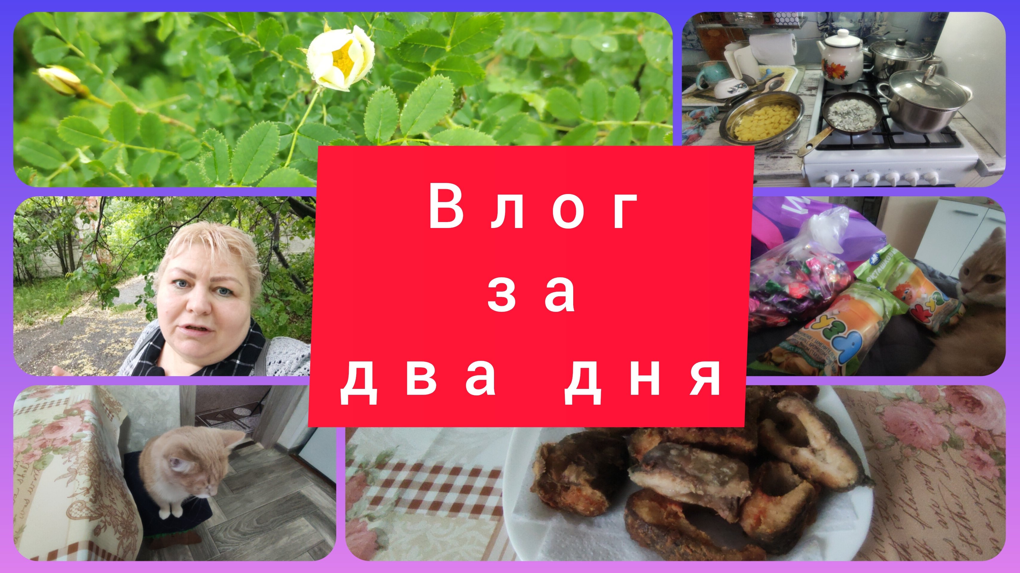 ПРОМОКЛА.ЗЕЛЕНЬ НА ЗИМУ. ПОЖАРИЛА РЫБУ. ВЛОГ ЗА ДВА ДНЯ