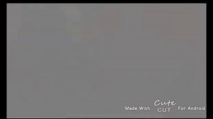 Сашко Фокин 2011-2019