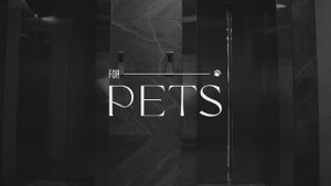 For Pets - премиум аксессуары для ваших хвостиков