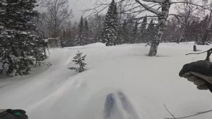 Снег, елки, Шерегеш