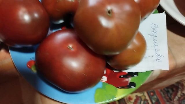 ТОМАТЫ. Выставка томатов, выращенных в Кировской обла? смотреть онлайн