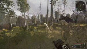 Самый честный обзор по фарму юга | Stalcraft X | Путь новичка