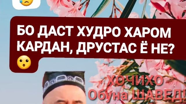 ХОЧИ МИРЗО БО ДАСТИ ХУД ХУДРО ХАРОМ КАРДАН смотреть онлайн