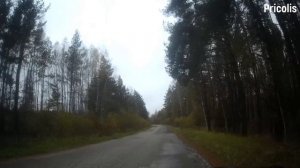 Дорога на бывшую деревню Грибастово через Серково октябрь 2024
