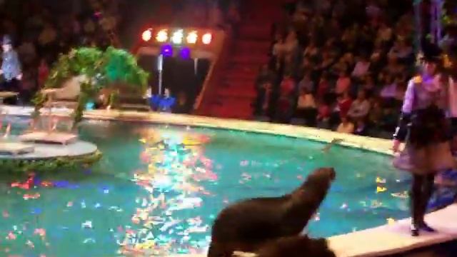 цирк 1 смотреть онлайн