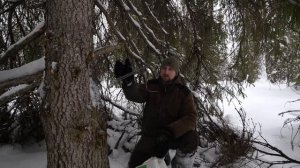 УРАГАННЫЙ ВЕТЕР ЗАСТАЛ В ТАЙГЕ, ЗАКЛИНИЛ СНЕГОХОД, ВЫБ