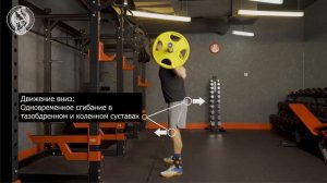 Приседания со штангой на спине