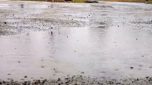 Николай Берег На пороге зимы