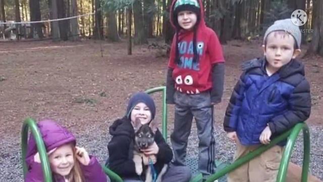 У щенка ПОРОГ СЕРДЦА... Щенка приехали обнять 200 челове? смотреть онлайн