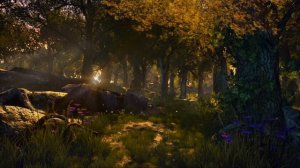 Эльфийский лес - Волшебные звуки природы с флейтой и пением птиц, фоновая музыка для сна