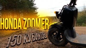 ХОРОШИЙ был Honda Zoomer, а СТАЛ ещё ЛУЧШЕ, а может и нет