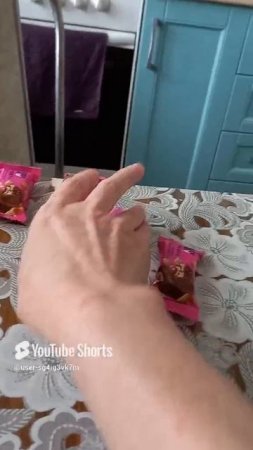 смешныекоты #кошка Ладушка #котики #прикольныекоты #видосыоткота #shorts