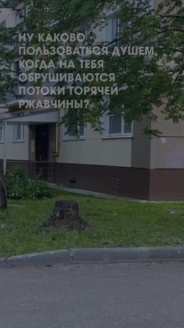Ржавая вода в Сосновом бору