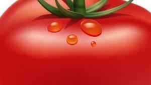 Песня Про Помидор