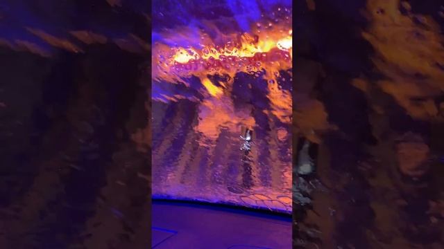 Автомойка в штате Миссури за 15$ + бесплатные тряпки и п? смотреть онлайн