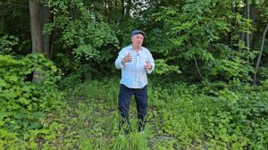 Пародия на Ирония судьбы или с легким паром