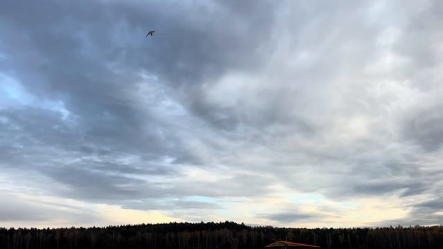 Облет крыла ATOM-N в Турово 27.10.24 смотреть онлайн