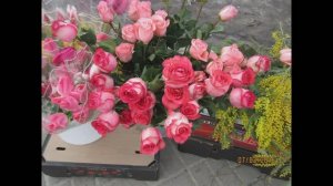 Праздник ,без слов...