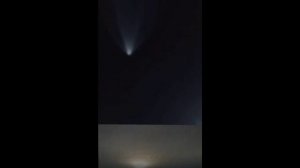 Невероятный полет орешника.